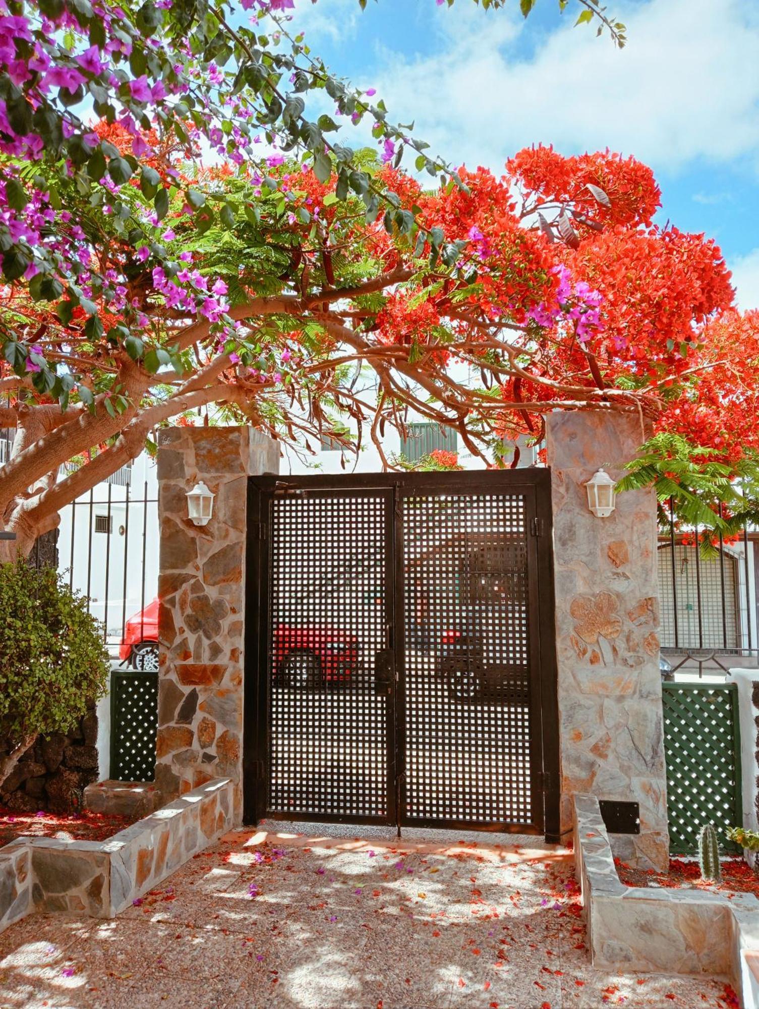 Apartamentos Las Acacias Puerto del Carmen  Ngoại thất bức ảnh